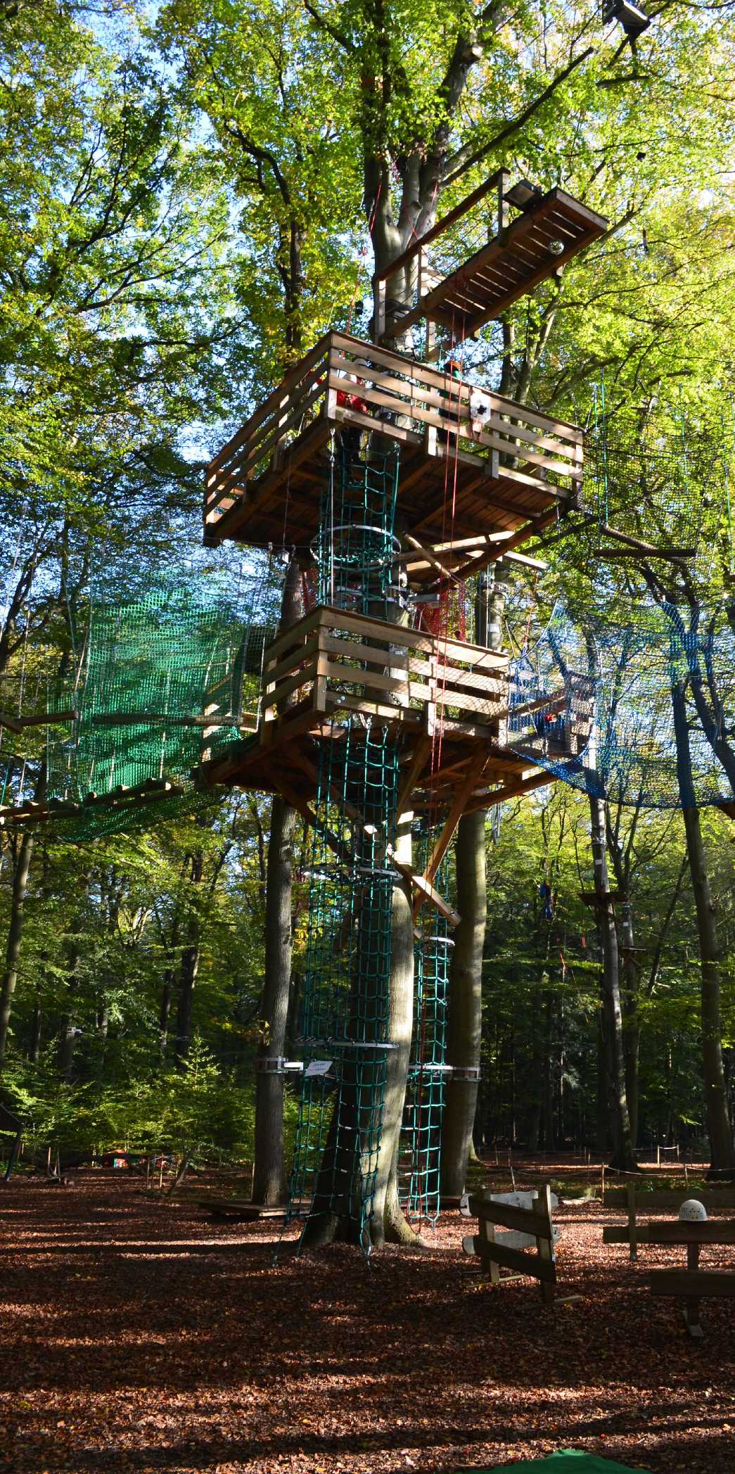 Hauptbaum mit Freiem Fall schnurstracks Kletterpark Hamburg Sachsenwald
