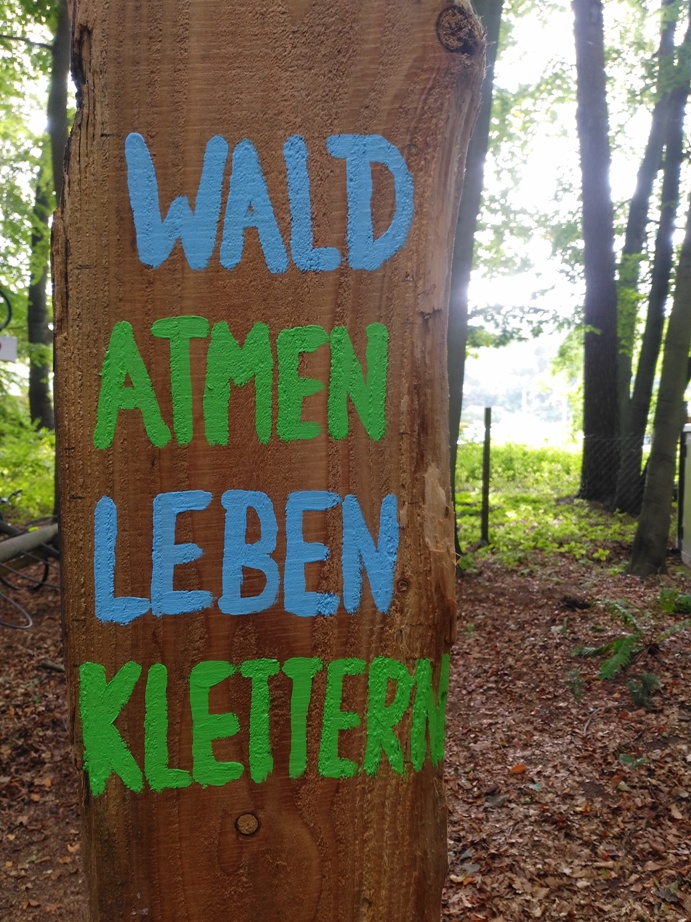 wald_atmen_leben_klettern nachhaltigkeit