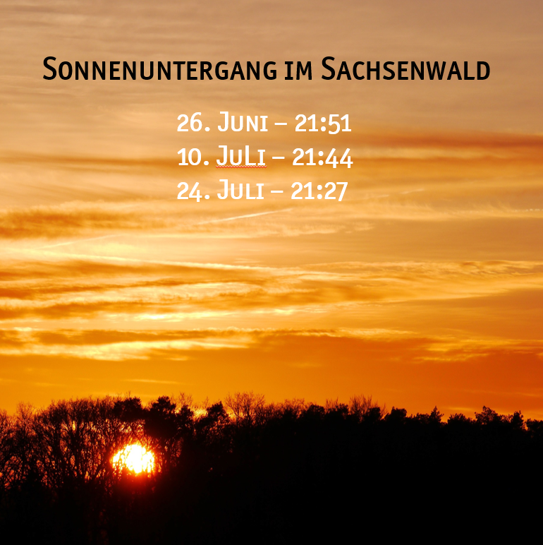 Sommernachtsklettern Sommernachtsklettern
