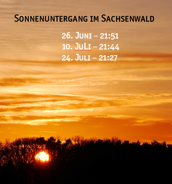 Sommernachtsklettern Sachsenwald schnurstracks Kletterpark Abendklettern Sommernachtsklettern Sachsenwald schnurstracks Kletterpark Abendklettern